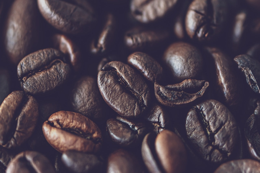 LA RUTA AL BUEN CAFÉ: Café de altura Ch´umpi de Caranavi, La Paz.