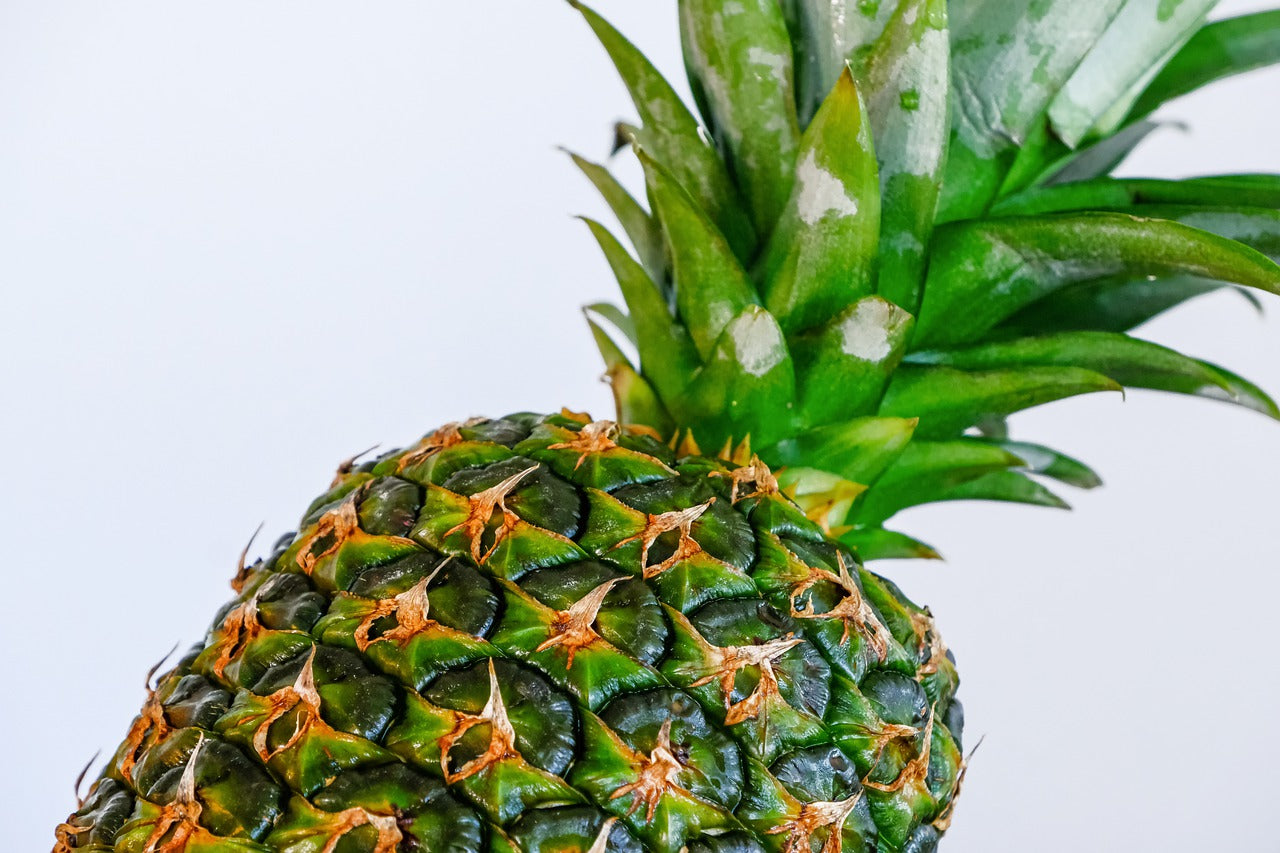 Piña del Chapare (TRADICIONAL) – Quinta Saludable